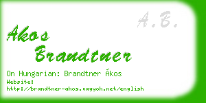 akos brandtner business card